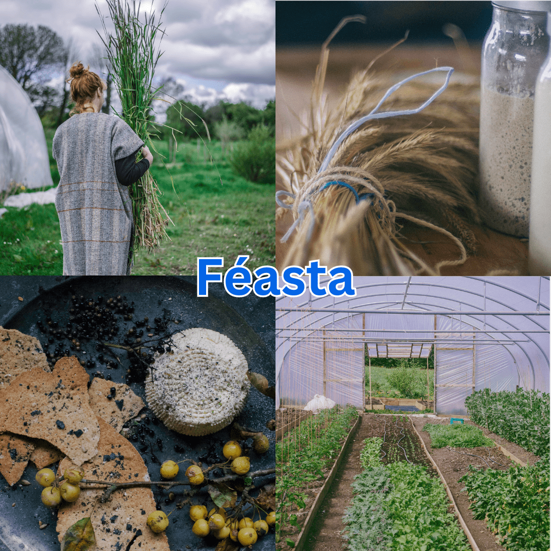A collage with “Féasta” in blue text: a woman carries tall grass, a bundle of wheat and a bottle, a plate with cheese, crackers, and berries, and a view inside St. Nicholas’ Collegiate Church’s lush greenhouse with vegetable beds.